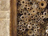 The Library of Alexandria
